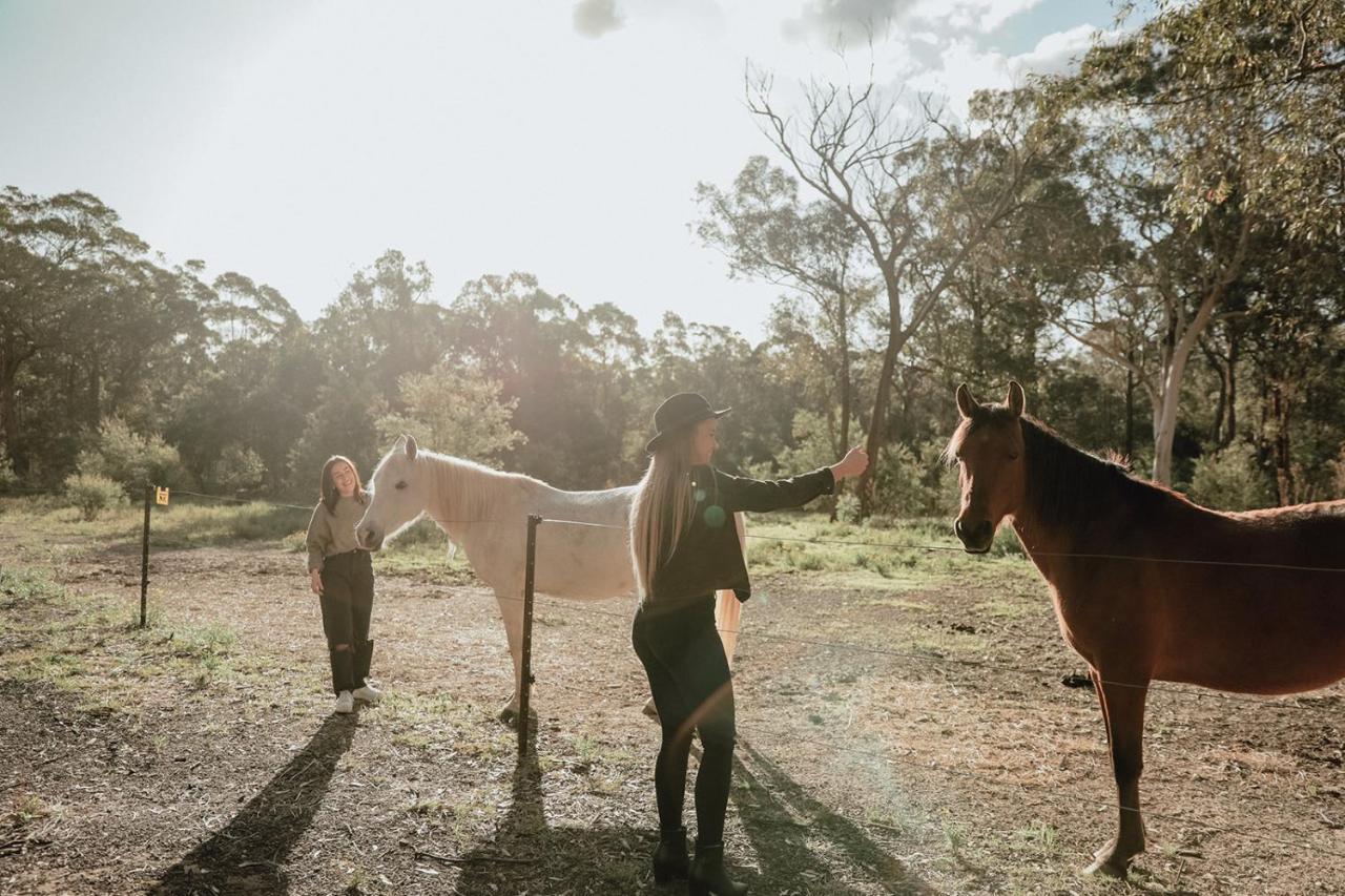 Hunter Valley Retreat Quorrobolong Luaran gambar