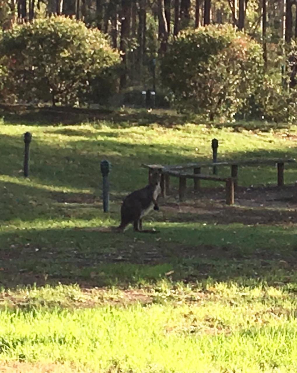 Hunter Valley Retreat Quorrobolong Luaran gambar